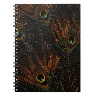 Dark Tangerine Peacock Feathers Notebook