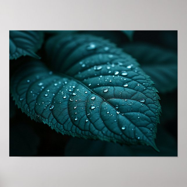 Dark Teal Macro Leaf With Rain Water Droplets Poster (Front)