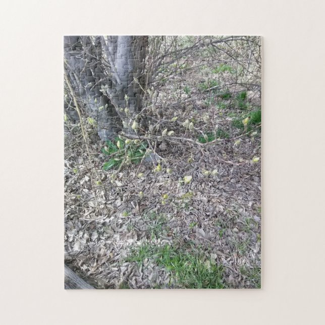 darling buds of march jigsaw puzzle (Vertical)