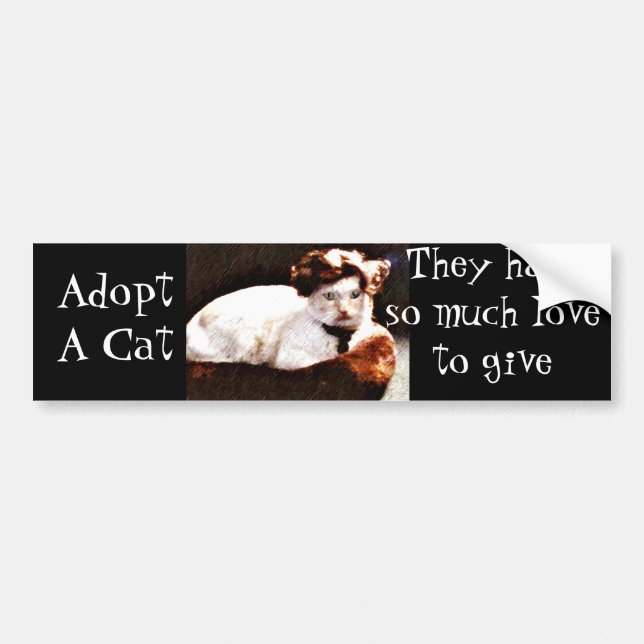 Darling,Cat_ Bumper Sticker (Front)