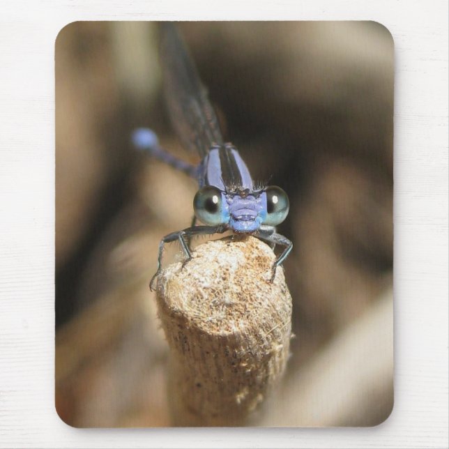 Darling Damselfly (1) Mousepad (Front)