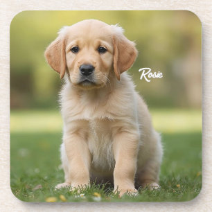 Darling Golden Retriever Personalised Coaster Set