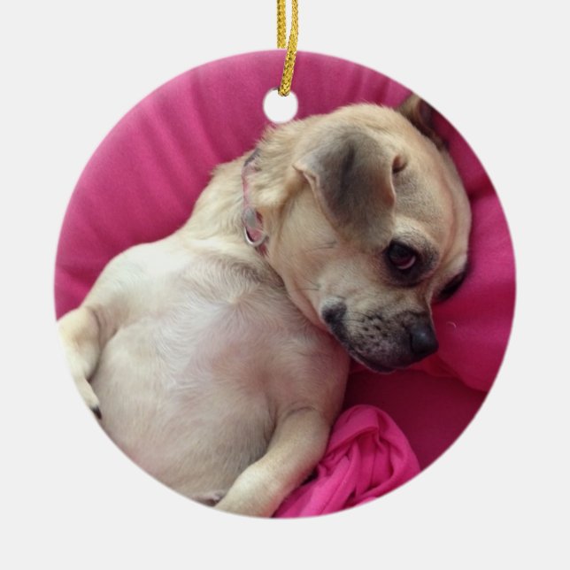 Darling Puppy Chug Dog Christmas Ornament Pink (Front)