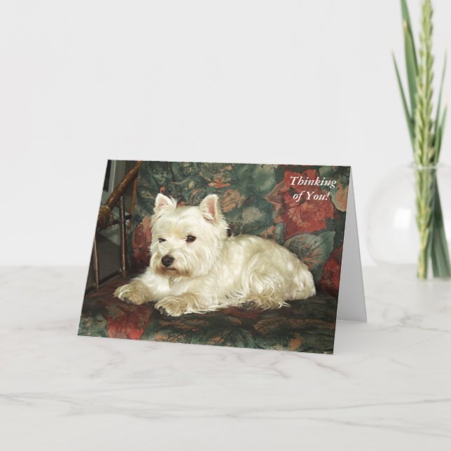 Darling West Highland Terrier Thinking of You Card (Front)