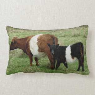 Darmoor Belted Galloway Cow And Calf Lumbar Cushion