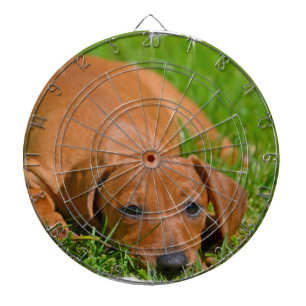 Dart Board - Customised