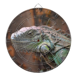 Dart Board with colourful Iguana lizard