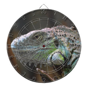 Dart Board with head of colourful Iguana lizard
