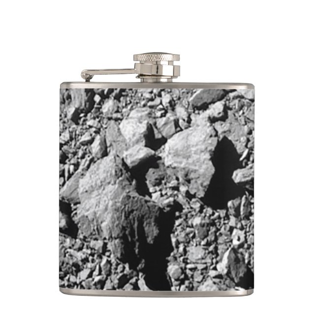 DART Dimorphos Asteroid Moonlet Surface Hip Flask (Front)