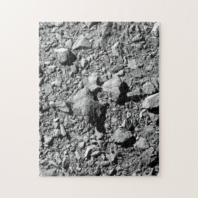 DART Dimorphos Asteroid Moonlet Surface Jigsaw Puzzle (Vertical)