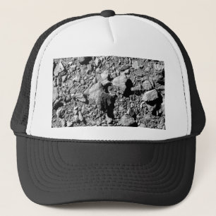 DART Dimorphos Asteroid Moonlet Surface Trucker Hat