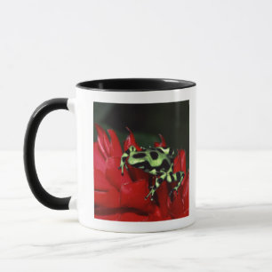 Dart frog 2 mug