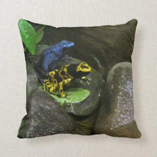 Dart Frog Buddies Cushion