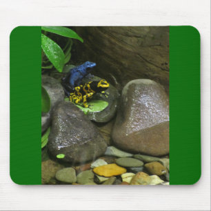 Dart Frog Buddies Mouse Pad