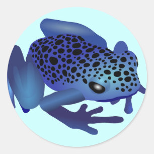 Dart Frog Classic Round Sticker