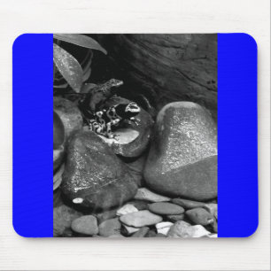 Dart Frogs Sharing Rock B+W Mouse Pad