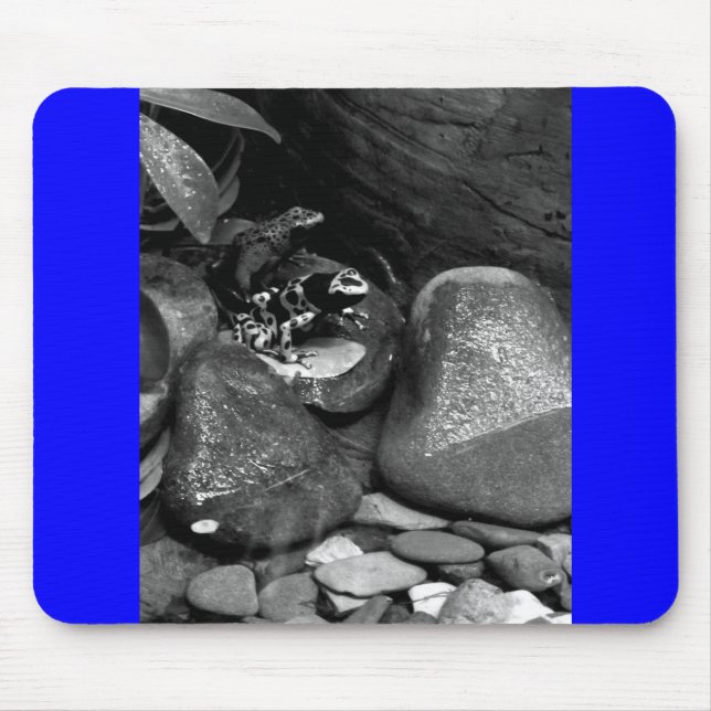 Dart Frogs Sharing Rock B+W Mouse Pad (Front)