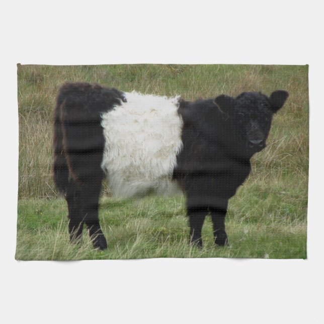 Dartmoor Belted Galloway Calf Tea Towel (Horizontal)