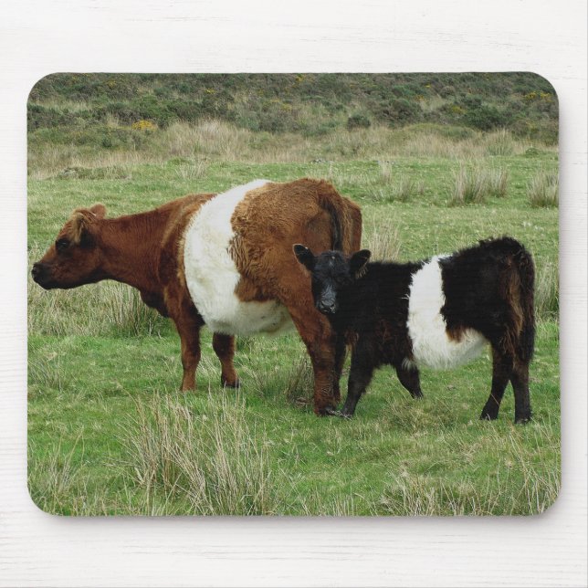 Dartmoor Belted Galloway Cow And Calf Mouse Pad (Front)