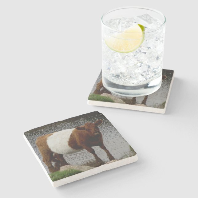 Dartmoor Belted Galloway Cow Standing River Stone Coaster (Side)