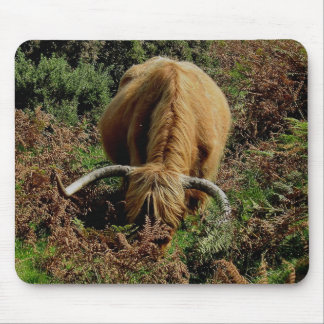 Dartmoor Highland Cow Grazing In Bracken Mouse Pad