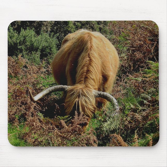 Dartmoor Highland Cow Grazing In Bracken Mouse Pad (Front)