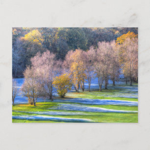 Dartmoor Morning Frost Holiday Postcard
