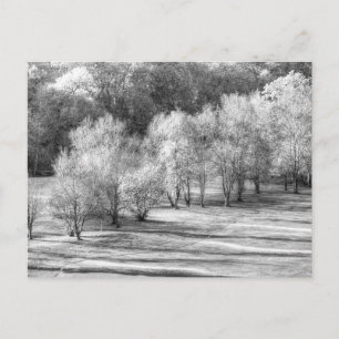 Dartmoor Morning Frost Monochrome Holiday Postcard