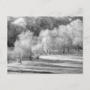 Dartmoor Morning Frost Vista Holiday Postcard