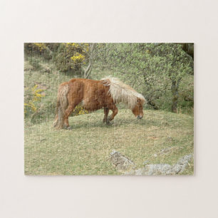 Dartmoor Ponny, Wild English Horses /Britain Jigsaw Puzzle
