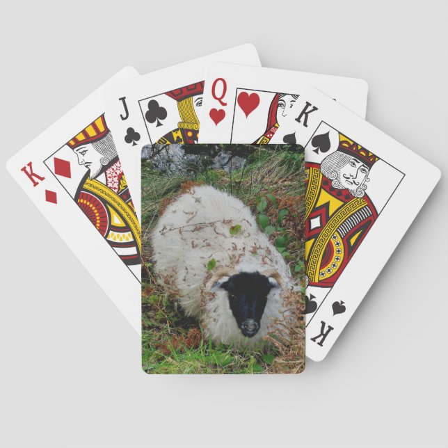 Dartmoor Sheep In Hiding Playing Cards (Back)