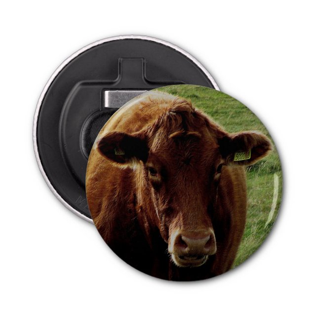 Dartmoor South Devon Cow Looking Bottle Opener (Front)