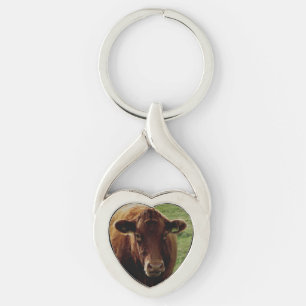 Dartmoor South Devon Cow Looking Key Ring