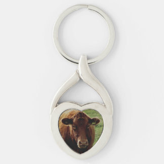 Dartmoor South Devon Cow Looking Key Ring