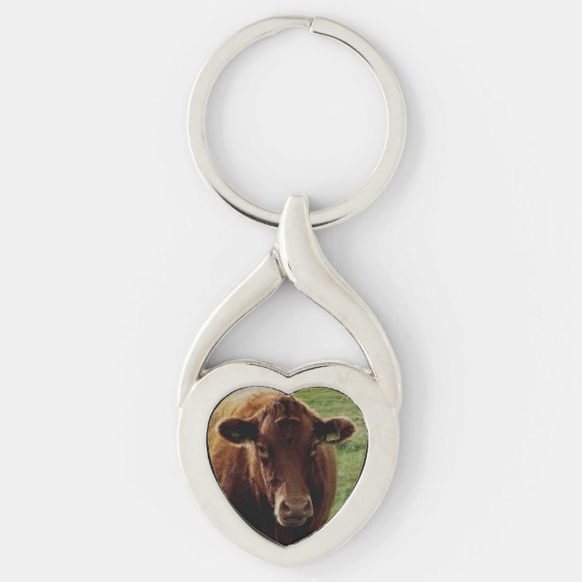 Dartmoor South Devon Cow Looking Key Ring (Front)