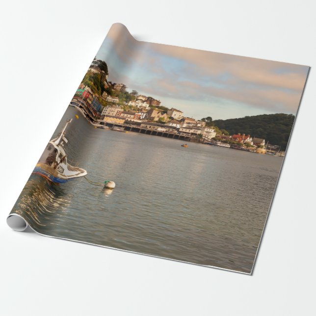 Dartmouth Wrapping Paper (Unrolled)
