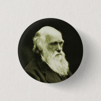 darwin 3 cm round badge