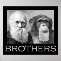 Darwin and Chimp Brothers