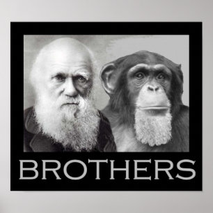 Darwin and Chimp Brothers Poster