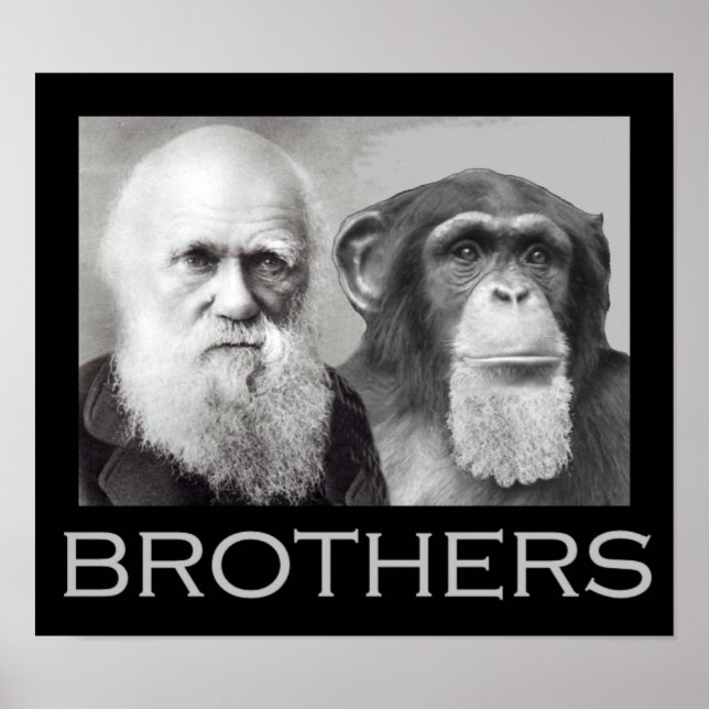 Darwin and Chimp Brothers Poster (Front)
