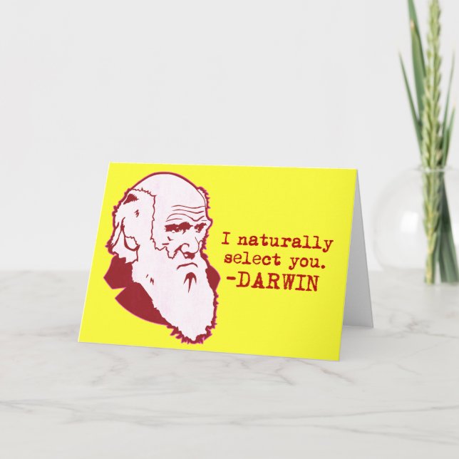 Darwin Holiday Card (Front)