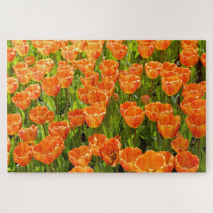 Darwin hybrid tulip, tulipa "Oxford's Elite." Oran Jigsaw Puzzle