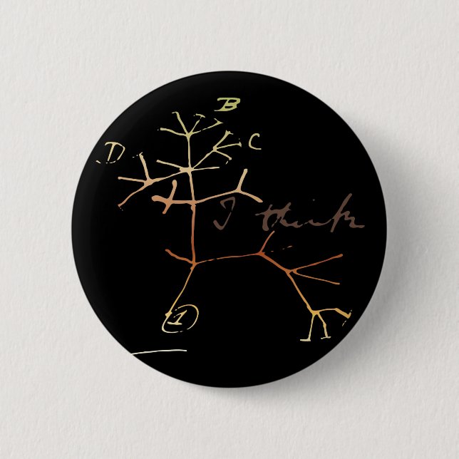 Darwin, I think tree of life 6 Cm Round Badge (Front)