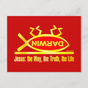 Darwin is Dead Postcard