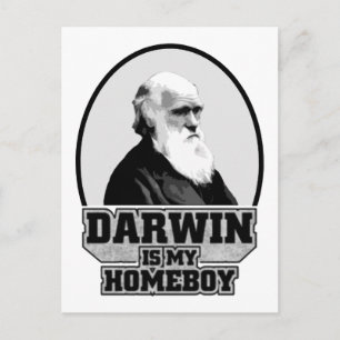 Darwin Is My Homeboy Postcard