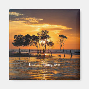 Darwin mangrove, Australia, Magnet