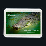 Darwin Northern Territory - Crocodile Magnet<br><div class="desc">A hungry saltwater crocodile coming into feed at one of Darwin's famous tourist attractions in the Northern Territory,  Australia.
This photograph is courtesy of Neil Jones Photography,  please visit his store on Zazzle to view his amazing photos.</div>