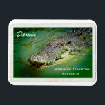 Darwin Northern Territory - Crocodile Magnet<br><div class="desc">A hungry saltwater crocodile coming into feed at one of Darwin's famous tourist attractions in the Northern Territory,  Australia.
This photograph is courtesy of Neil Jones Photography,  please visit his store on Zazzle to view his amazing photos.</div>