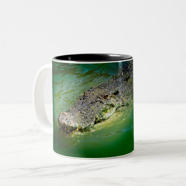 Darwin Northern Territory - Crocodile Mug (Front Left)