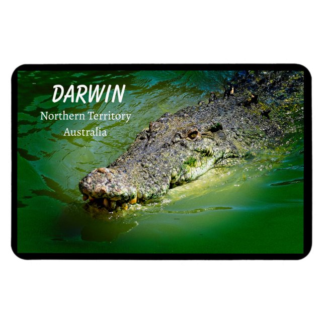 Darwin Northern Territory Saltwater Crocodile Magnet (Horizontal)